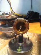 neumann capsul 2